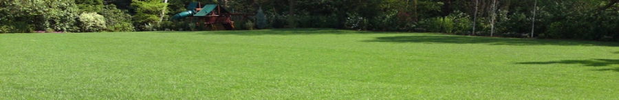 kgrassturf1